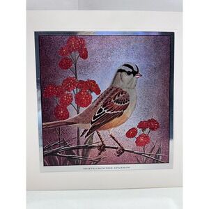 Vintage Birds of America Color Etched Prints by Tom‎ Dolan. Set of 4
